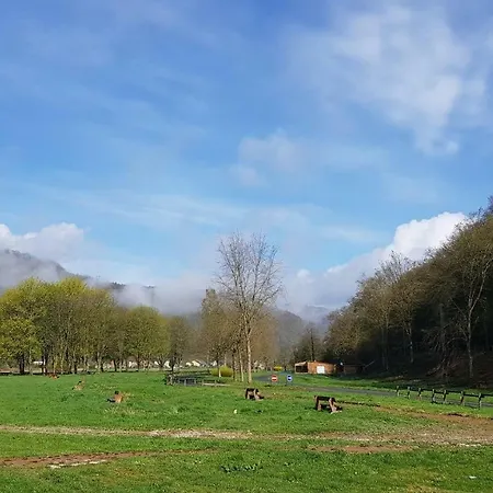19 Personnes Campsite *
