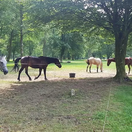 19 Personnes * Revin (Ardennes)